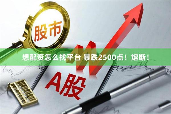 想配资怎么找平台 暴跌2500点！熔断！